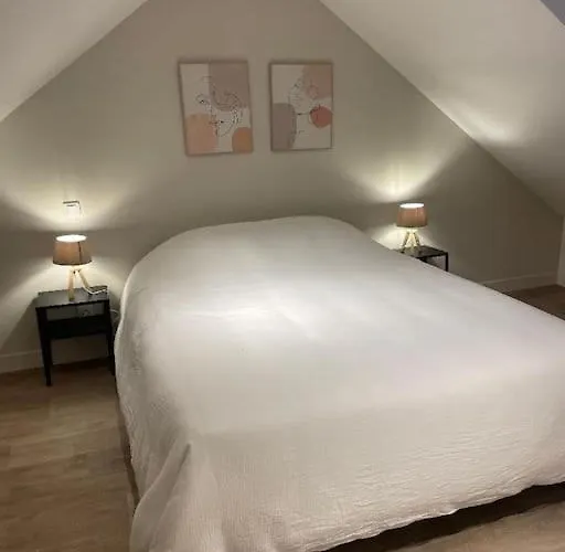 Apartment Plein Centre, Garage Recharge Voiture Langres